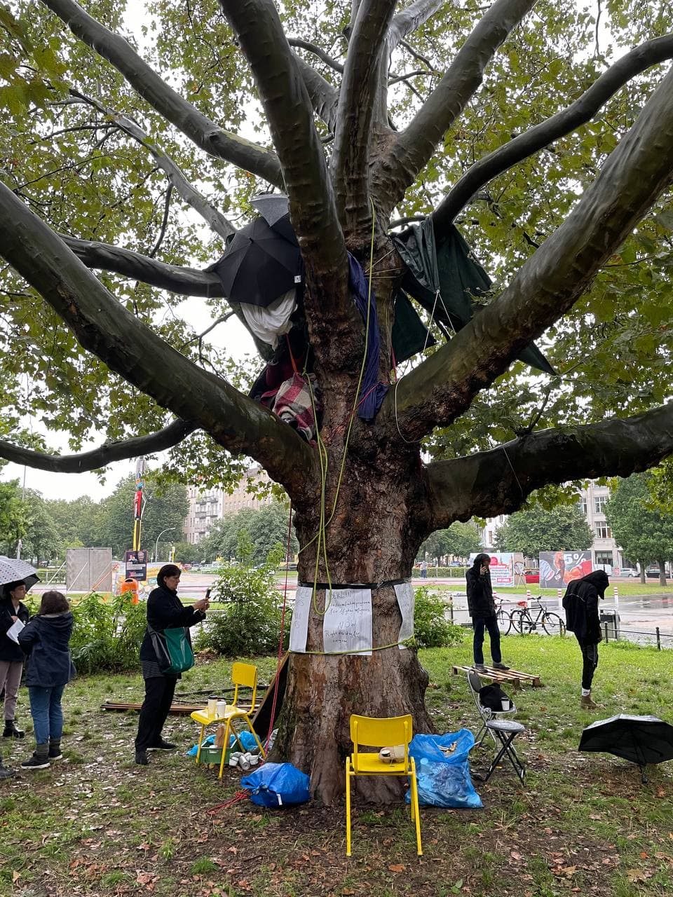 Oranienplatz: Geflüchtete besetzen Baum für Bleiberecht und Offene Grenzen