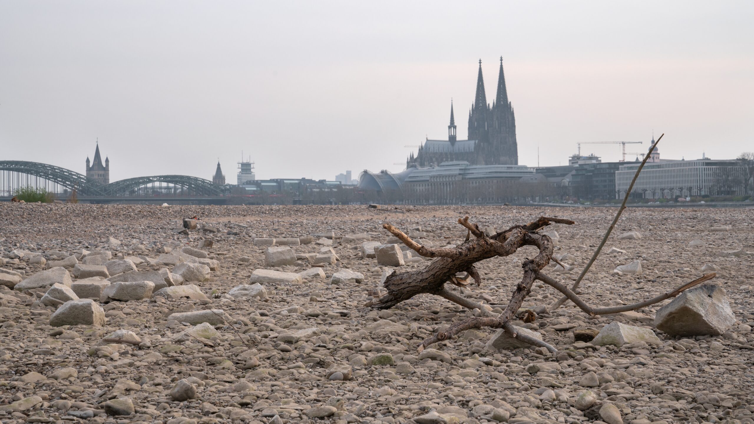 Gedichte gegen Frust: