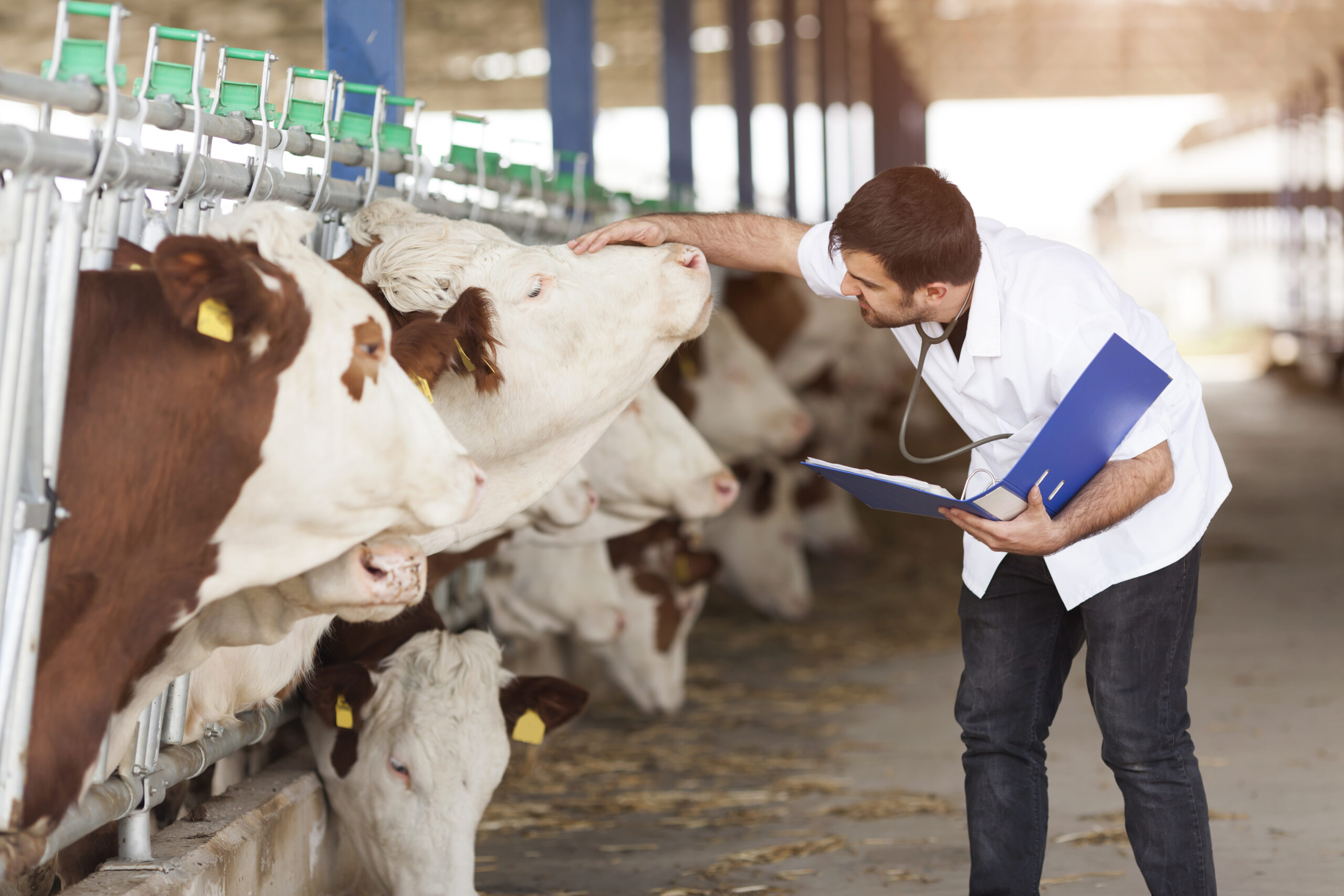 FU-Stupa: Solidarität mit dem Protest gegen die miesen Arbeitsbedingungen in der Tiermedizin