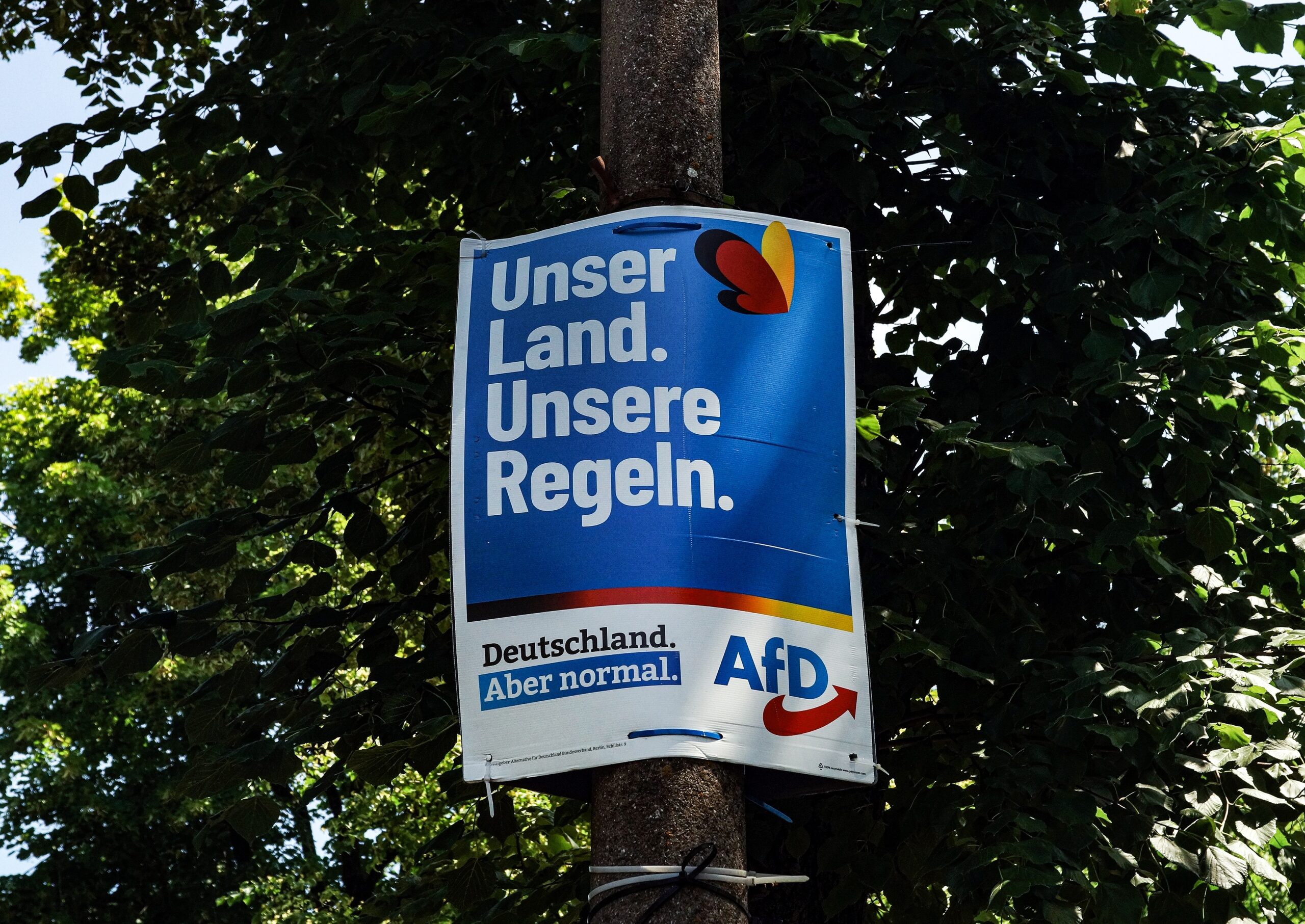 Bayerischer AfD-Politiker wird wegen Rechtsextremismus verhaftet und darf trotzdem im Landtag bleiben