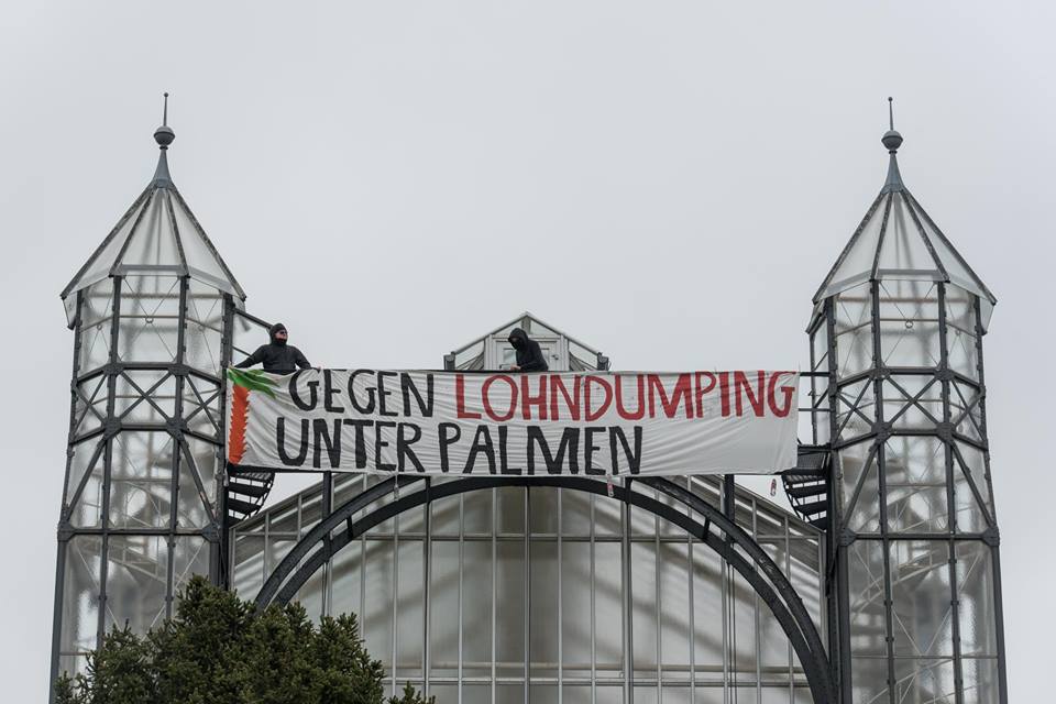 Banner Drop am Gewächshaus