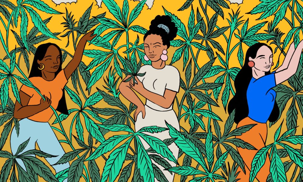 Der beste Plan für 4/20: Cannabisfreigabe unter Arbeiter*innenkontrolle!
