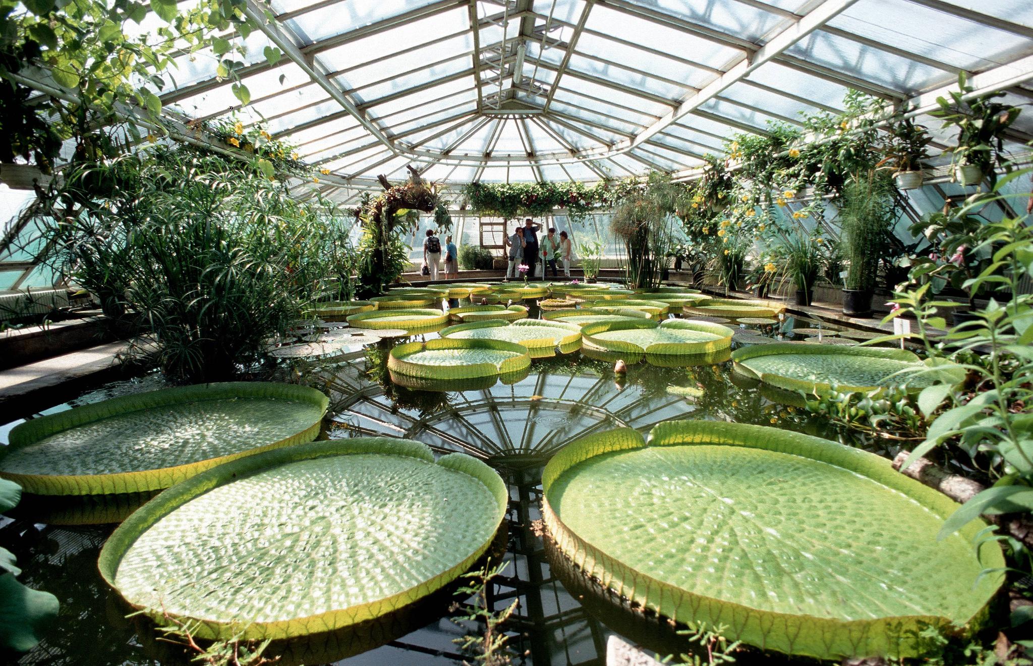 FU-Präsidum will Belegschaft des Botanischen Gartens spalten