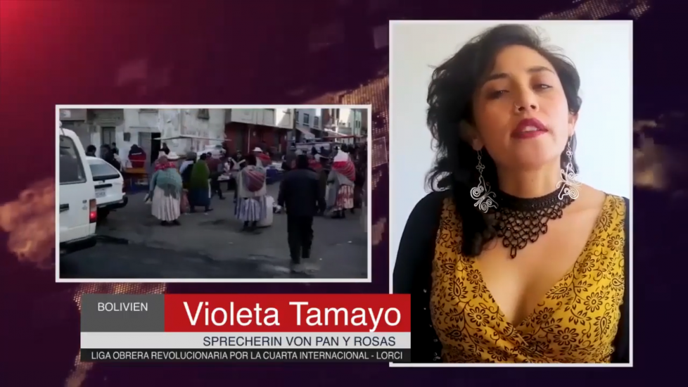 Violeta Tamayo: 