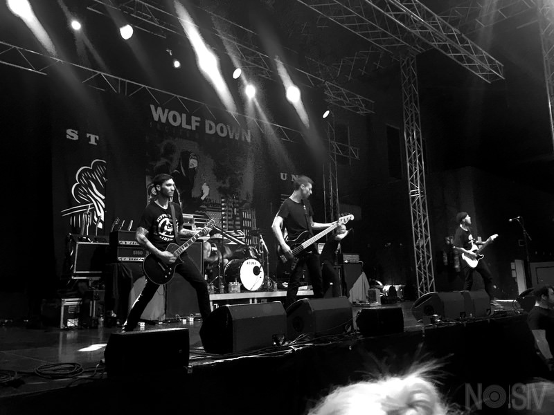 Wolf Down: Bandauflösung nach Bekanntwerden sexualisierter Übergriffe
