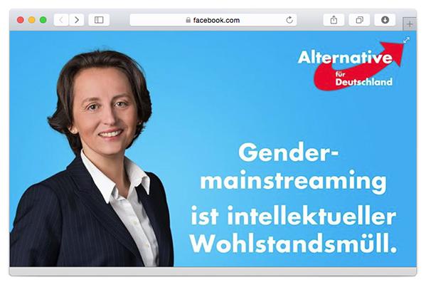 Selber kämpfen: Frauen und LGBT* gegen die AfD