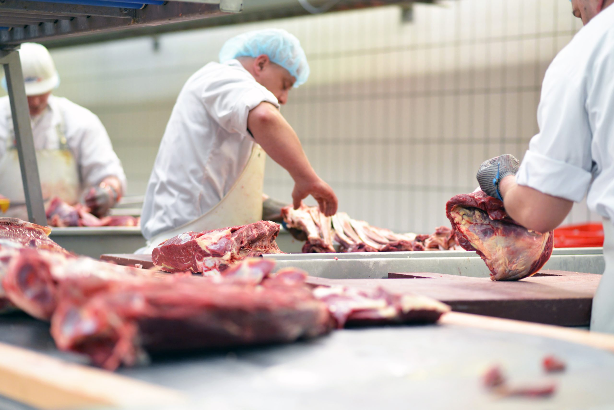 Leiharbeit in der Fleischindustrie verboten - schön und gut, aber Tönnies muss trotzdem enteignet werden!