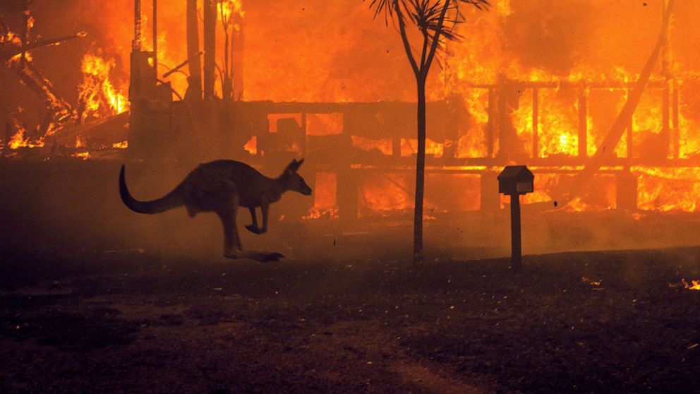 Australien brennt – doch die Regierung leugnet den Klimawandel